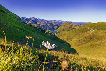 Allgäu - Seealpsee - Alpen - Berge - Nebelhorn - Oberstdorf