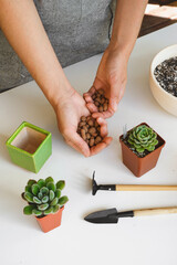 Putting drainage for plants in pot during repotting or transplantation of succulents in ceramic pot. Hand holding drainage rocks. Top view, copy space, white background. Home gardening hobby.