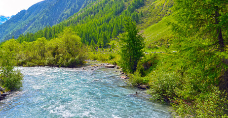 Fototapeta na wymiar Der Inn-Nebenfluss Susasca in der Nähe vom Flüelapass, Kanton Graubünden (Schweiz)