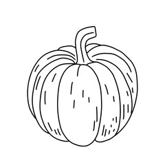 Pumpkin doodle line art. Coloring page element. Harvest Thanksgiving autumn fall. Teaching materials, coloring page element.