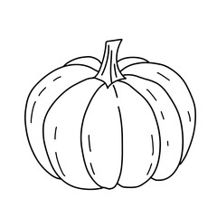 Pumpkin doodle line art. Coloring page element. Harvest Thanksgiving autumn fall. Teaching materials, coloring page element.