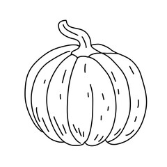Pumpkin doodle line art. Coloring page element. Harvest Thanksgiving autumn fall. Teaching materials, coloring page element.