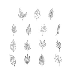 Doodle leaves. Greenery element doodle coloring page illustration