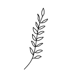 Doodle leaves. Greenery element doodle coloring page illustration