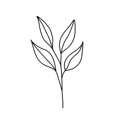 Doodle leaves. Greenery element doodle coloring page illustration