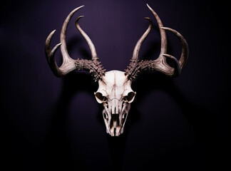 Fictional animal skull with dear antlers, isolated on dark purple wall. AI generated digital design. - obrazy, fototapety, plakaty