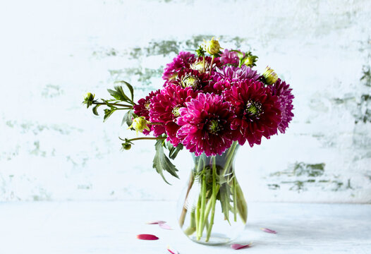 Bouquet of beautiful Dahlia flowers in a vase. Copy space