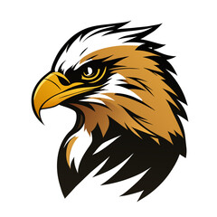Obraz premium eagle 1