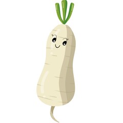 carrot on a white background