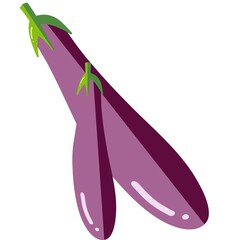 purple eggplant 