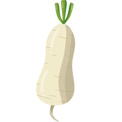 carrot isolated on white