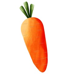 carrot isolated on white