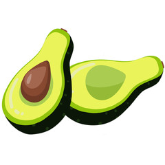 illustration of avocado