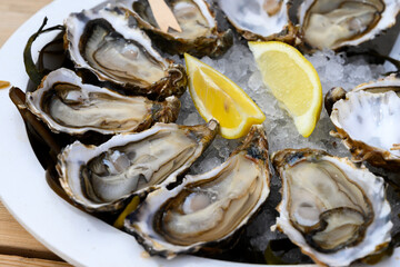 Fresh french Gillardeau oysters molluscs shucked on ice with lemon ready to eat close up