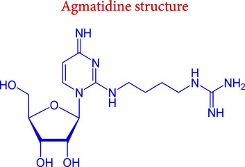 The structure of Agmatidine, vector illustration