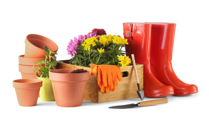 Beautiful flowers, pots, rubber boots and gardening tools isolated on white