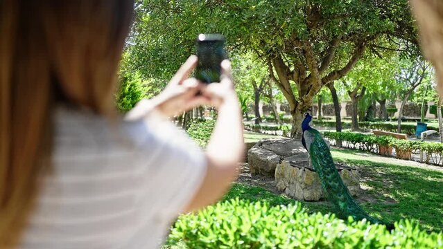 Middle eastern woman make photo to peacock at park