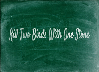 Kill Two Birds With One Stone Essential Business English Phrases and Idioms