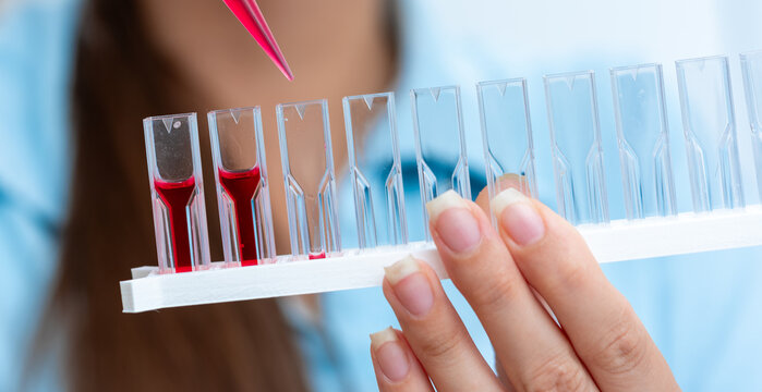 X-ray Diffraction (XRD): Use the cuvette to contain the sample and mea