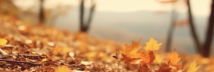 wind Flying fall leaves on autumn forest background, banner.