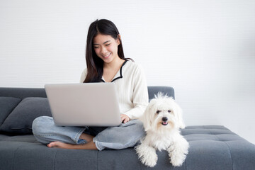 Beautiful young asian woman smile sitting working on laptop computer to internet online with cozy with companion dog in the living room at home, woman leisure with pet, lifestyles concept.