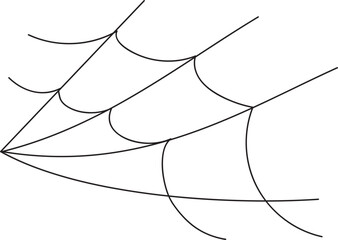 Halloween spider web
