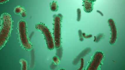 Microscopic visualization of rabies virus.