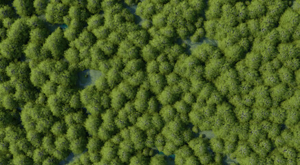Top view photograph of a forest filled with green trees scattered throughout the area,...