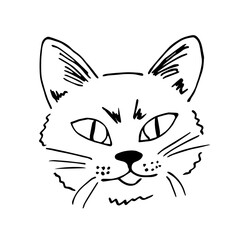 Fototapeta na wymiar Muzzle of a cat, pets. Simple black outline vector drawing. Sketch in ink.