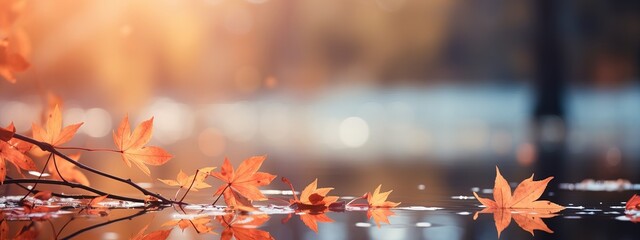 Beautiful yellow red and orange leaves in an autumn park in wate