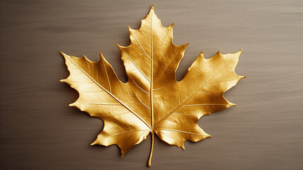 golden maple leaf isolated on white metal background
