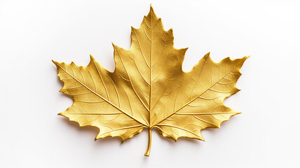 golden maple leaf isolated on white metal background