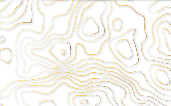Abstract golden topographic map. Vector illustration.