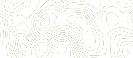 Abstract topographic map lines, contour map background. .topographic 3D waves map background .abstract white wave paper curved reliefs.