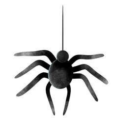 Black spider.