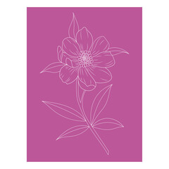 Flower poster design , Flower line art, Abstract flower background, artistic flower art