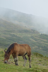 Lac de Soum - Col du Soulor