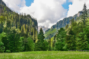 valley in Tatra Mountains, beautiful landscape
