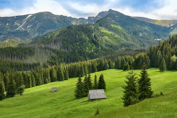 mountain huts in the valley in the Tatras, beautiful landscape - obrazy, fototapety, plakaty