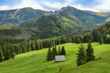 Papier Peint photo Paysage mountain huts in the valley in the Tatras, beautiful landscape