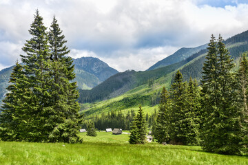 Fototapeta na wymiar mountain huts in the valley in the Tatras, beautiful landscape