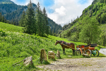 horse with cart in the valley in the Tatra Mountains, beautiful landscape

