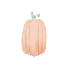 Pumpkin Cute