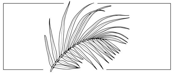 Black contour of a bent palm leaf on a white background. Botanical object for coloring books, decor, covers, patterns and designs.
