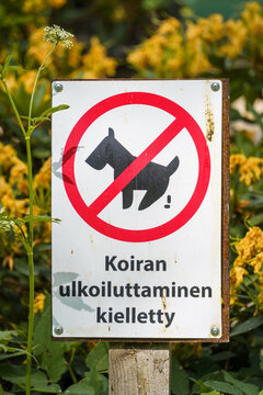 Dirty sign with the text: dog walking prohibited in Finnish with yellow flowers in the background.