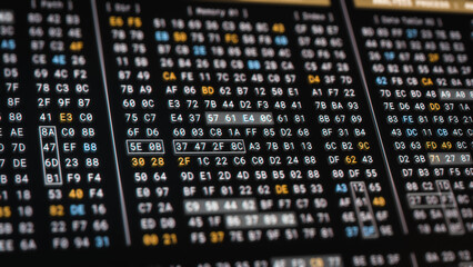 Computer memory code encryption technology for high security. Big Data Analysis process in low level programming to reverse engineering software, digital binary hexadecimal number display 3D rendering