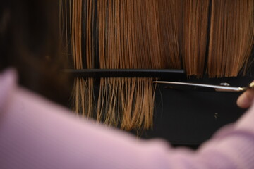 hair styling at the hairdresser - obrazy, fototapety, plakaty