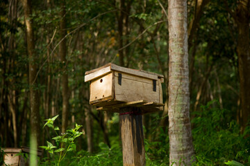 Wooden bee house on a farm on the island of Ko Yao in southern Thailand.