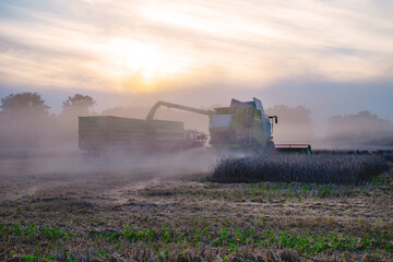 Getreide abladen auf dem Feld, von Mähdrescher auf den Anhänger großer Traktoren - 634286413