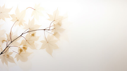 white background with copy space autumn leaves translucent sepia.